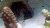 2011-07-04_19-28-24_255.jpg