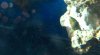 2011-07-05_17-43-08_193.jpg