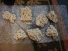 DSC02058.jpg