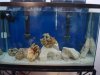 DSC02059.jpg
