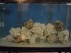 DSC02063.jpg