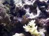 0707112041.jpg