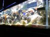 0707112209.jpg