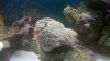 2011-07-08_08-46-16_149.jpg