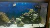 2011-07-08_08-46-25_979.jpg