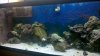 2011-07-08_08-46-35_143.jpg