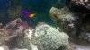 2011-07-08_08-46-45_37.jpg