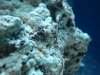 DSC02076.jpg