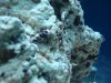 DSC02075.jpg
