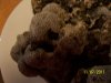 real coral live rock 003.jpg