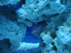 DSC02078.jpg