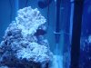 DSC02088.jpg
