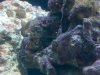 IMG_20110713_153024.jpg