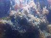IMG00310-20110716-1238.jpg