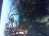 IMG00311-20110716-1238.jpg