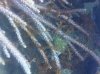 IMG00312-20110716-1239.jpg