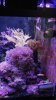 DSC00221.jpg