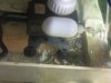 dba166a8a0be__1311273578000.jpeg