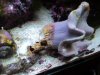 DSC01640.JPG