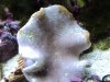 DSC01641.JPG