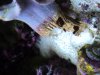 DSC01642.JPG