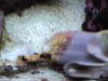 DSC01643.JPG