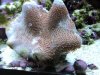 DSC01646.JPG