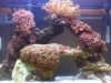 IMG00158-20110719-1759.jpg