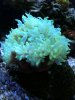 ImageUploadedByTapatalk1311983351.679720.jpg