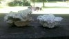 2011-08-02_10-43-32_211.jpg