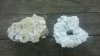2011-08-02_10-43-24_129.jpg