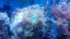 2011-08-08_18-07-49_75.jpg