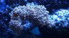 2011-08-08_19-56-13_671.jpg