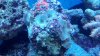 2011-08-01_17-37-10_999.jpg