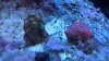 2011-08-01_17-38-25_751.jpg