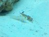 2011-08-09_19-16-36_710.jpg