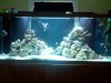 2011-08-09_19-13-24_864.jpg