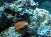 2011-08-09_19-17-29_138.jpg
