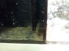 2011-08-13 02.21.37.jpg