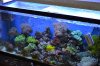 DSC_0002_smaller.jpg