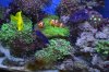 DSC_0006_small.jpg