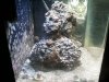 tanksideview.jpg