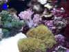 101_1282.jpg
