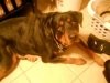 046pic.jpg