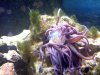 20110826010005.jpg