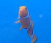 DSC06059.jpg