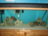 IMG_1109.JPG