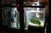 29g sump.JPG