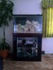 2011-09-04 10.04.40.jpg
