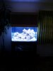 2011-09-05 16.02.55.jpg